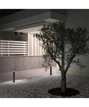 New LED Wall light WS-19040